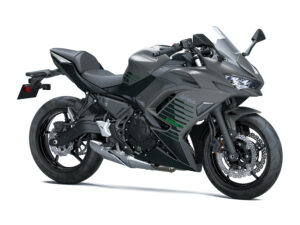 Ninja 650 grau